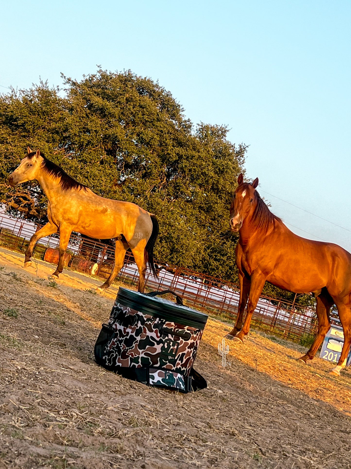 Ranch Hand Cooler