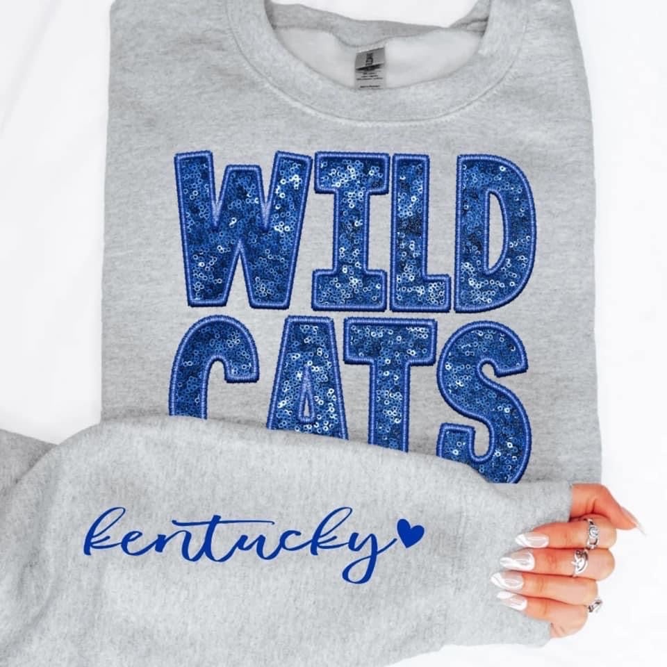 College Football Teams With Sleeve Faux Embroidery Glitter