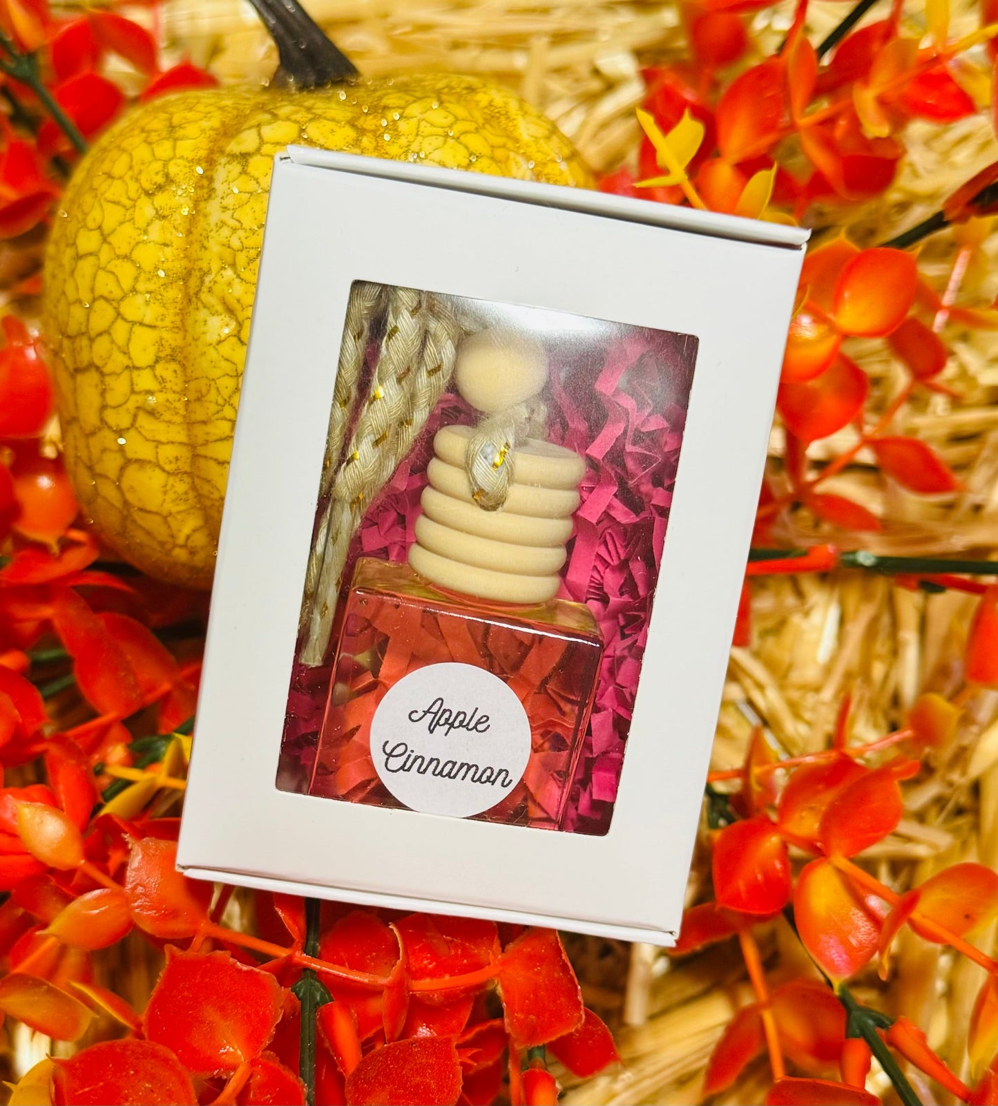 RTS Apple Cinnamon Car Diffuser